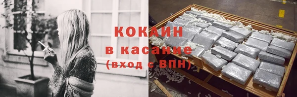 крисы Бородино