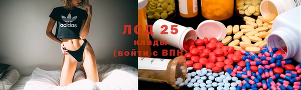 крисы Бородино