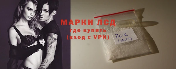 крисы Бородино