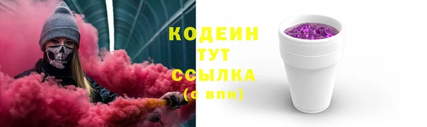 крисы Бородино