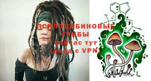 крисы Бородино