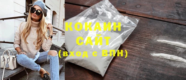 крисы Бородино