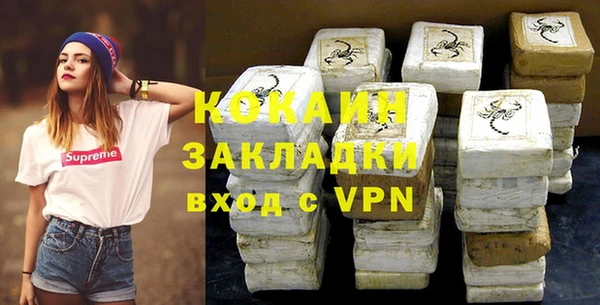 крисы Бородино