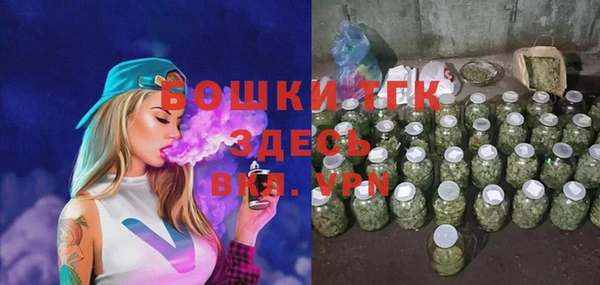 крисы Бородино