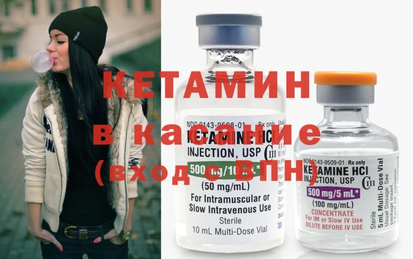 крисы Бородино