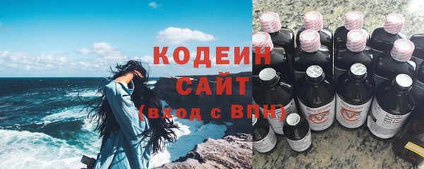 крисы Бородино