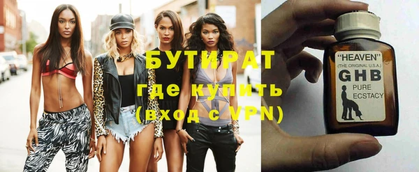 крисы Бородино