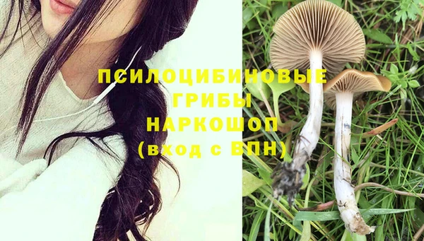 крисы Бородино