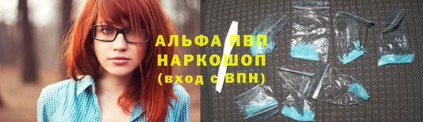 крисы Бородино
